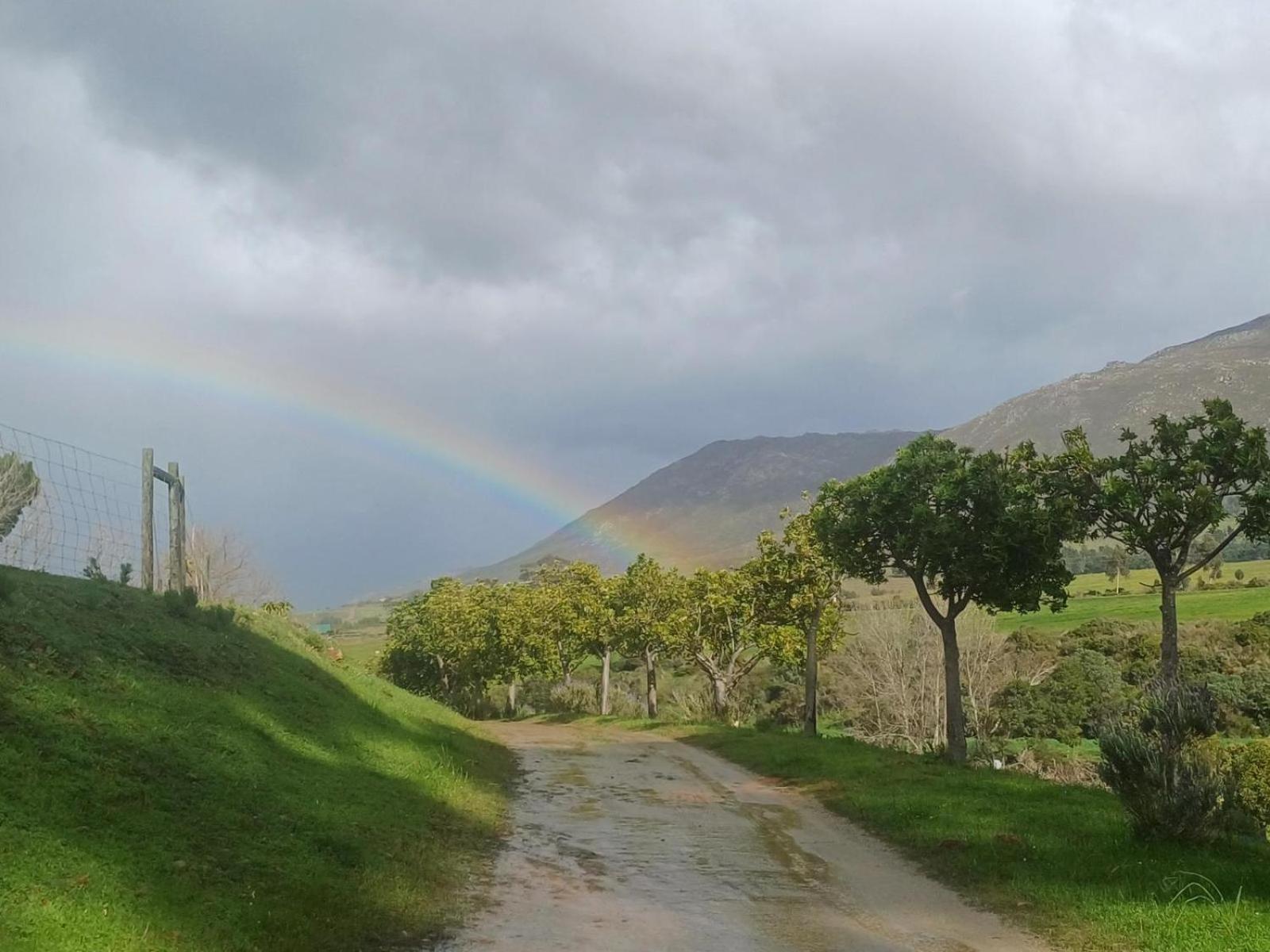 Swaynekloof Farm Villa Botrivier Eksteriør bilde