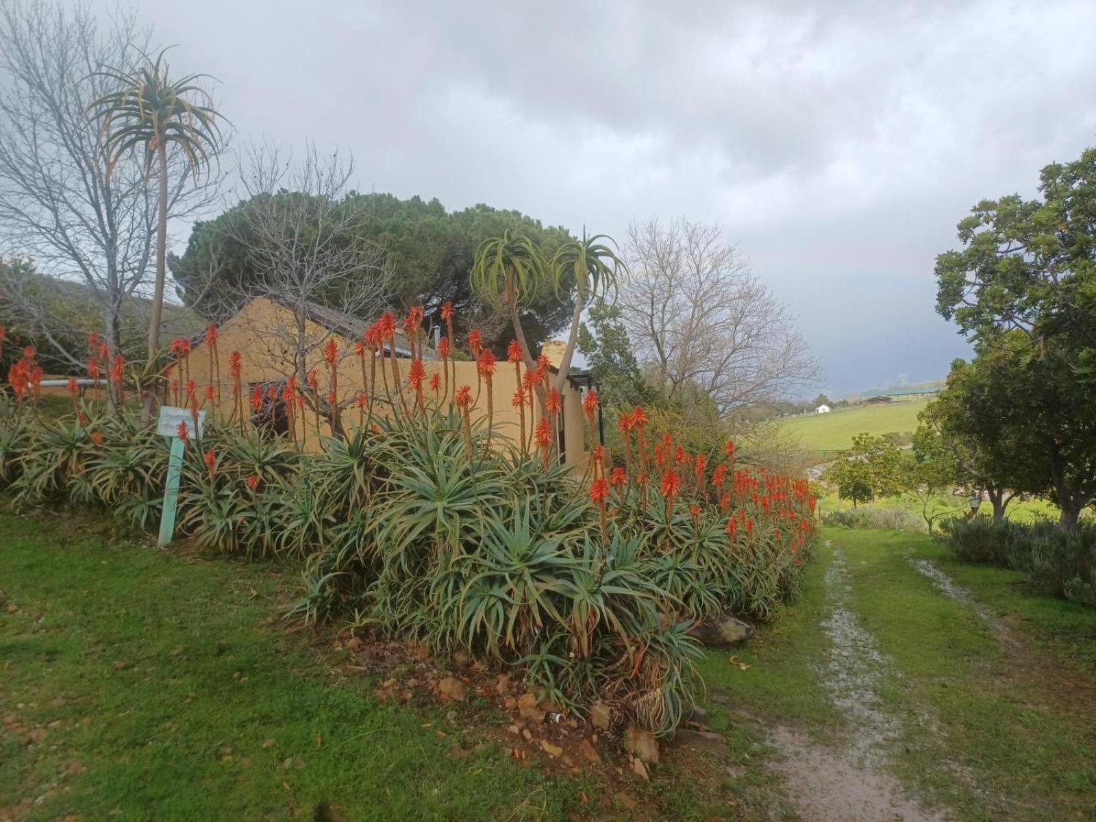 Swaynekloof Farm Villa Botrivier Eksteriør bilde
